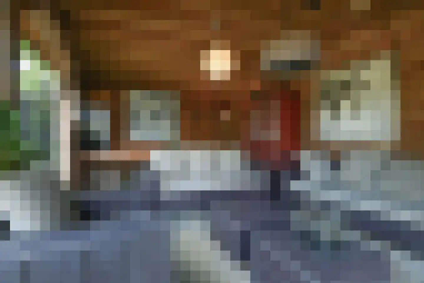 Dorpsstraat 175 Renkum thumbnail 49