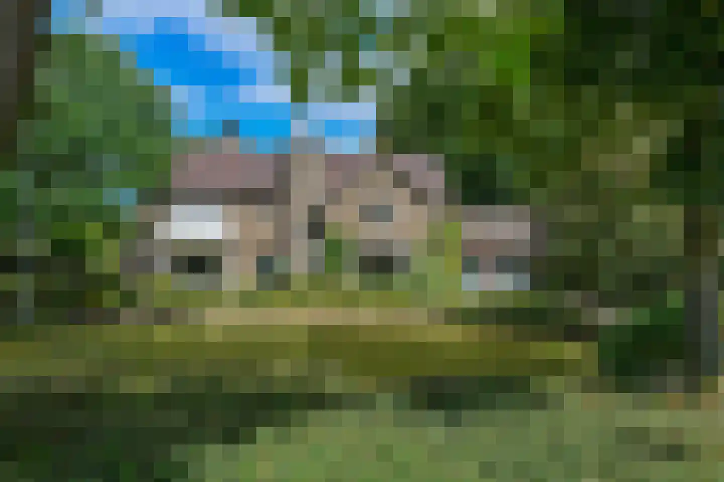 Dorpsstraat 175 Renkum thumbnail 5
