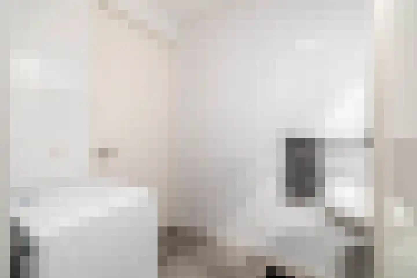 Dorpsstraat 176 B Assendelft thumbnail 34