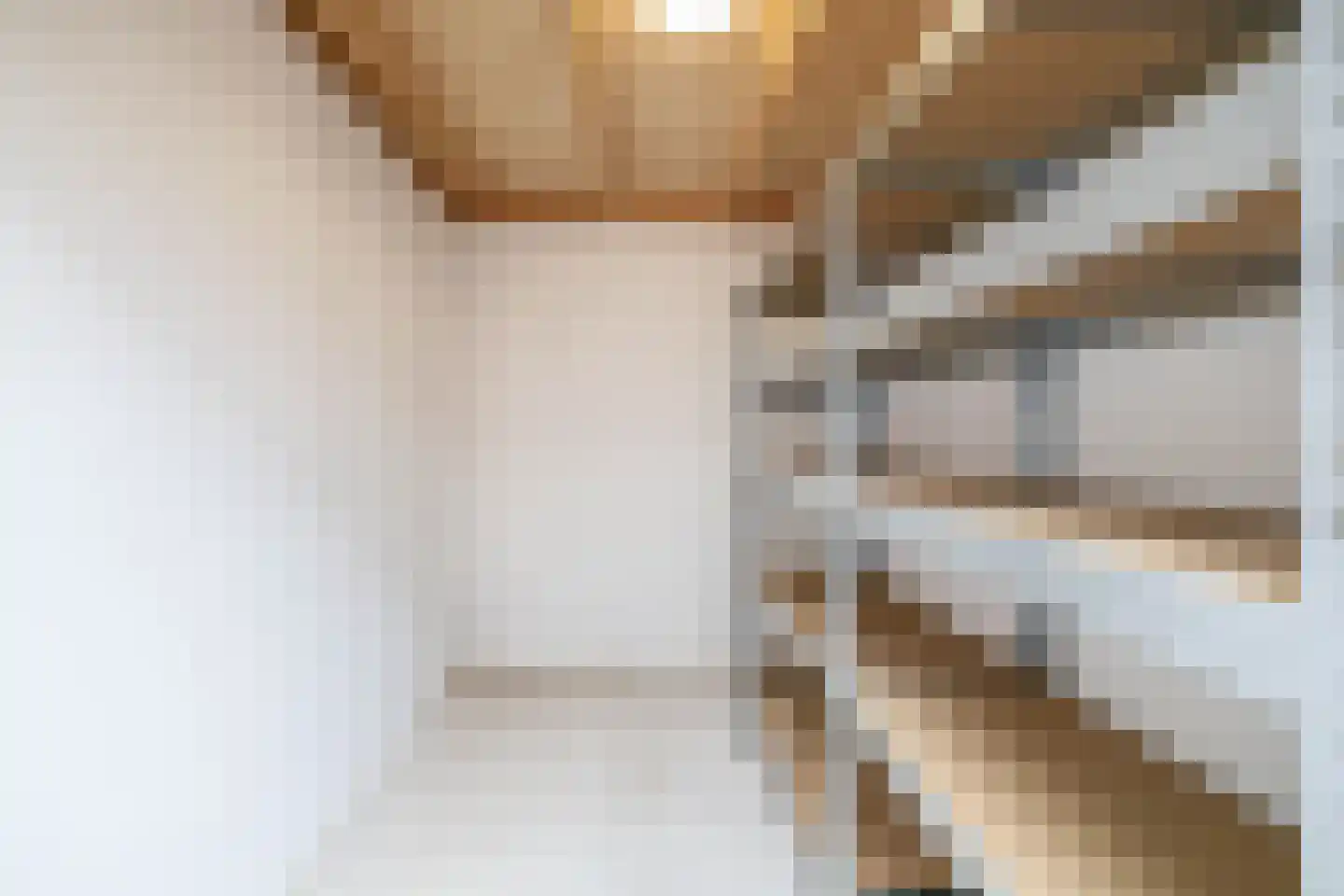 Dorpsstraat 176 B Assendelft thumbnail 39