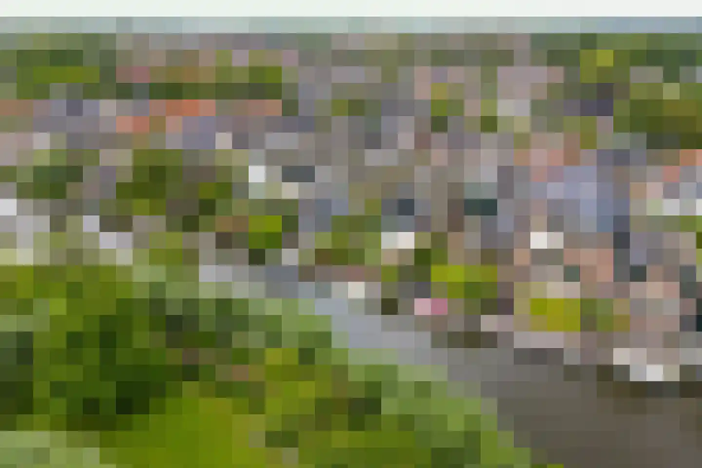 Dorpsstraat 176 Broek op Langedijk thumbnail 53