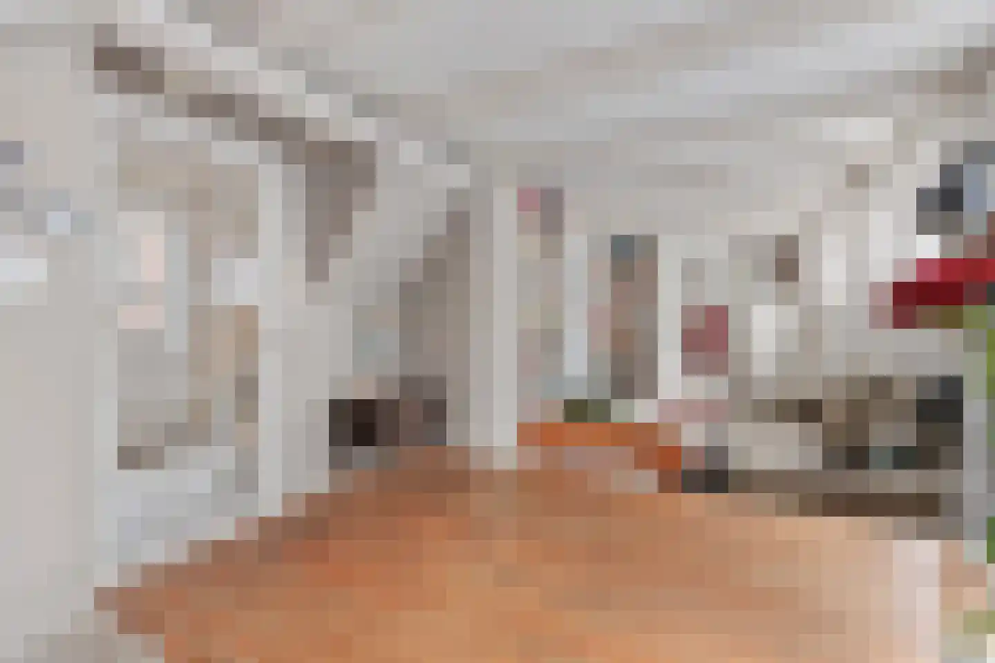 Dorpsstraat 176 Broek op Langedijk thumbnail 9