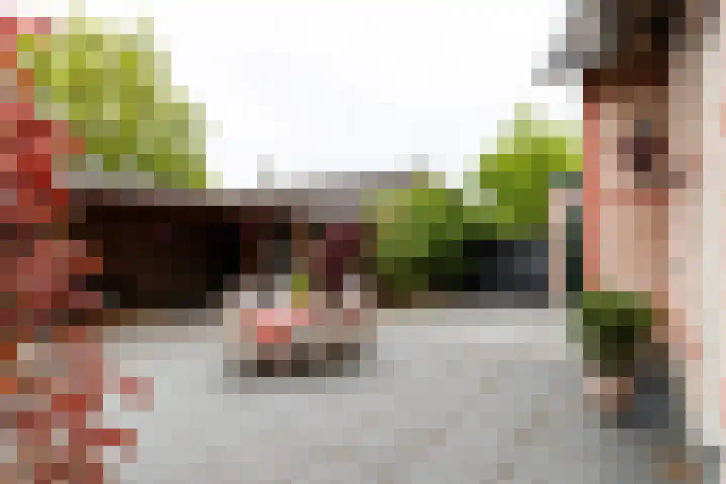 Dorpsstraat 176 Harmelen thumbnail 26