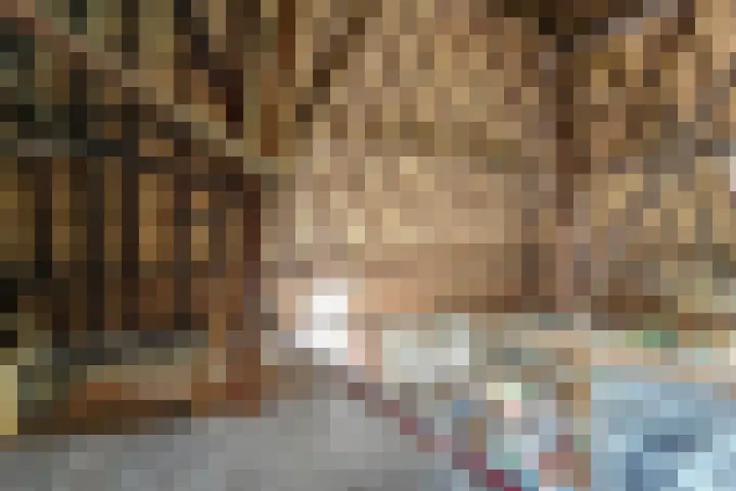 Dorpsstraat 176 Obdam thumbnail 29