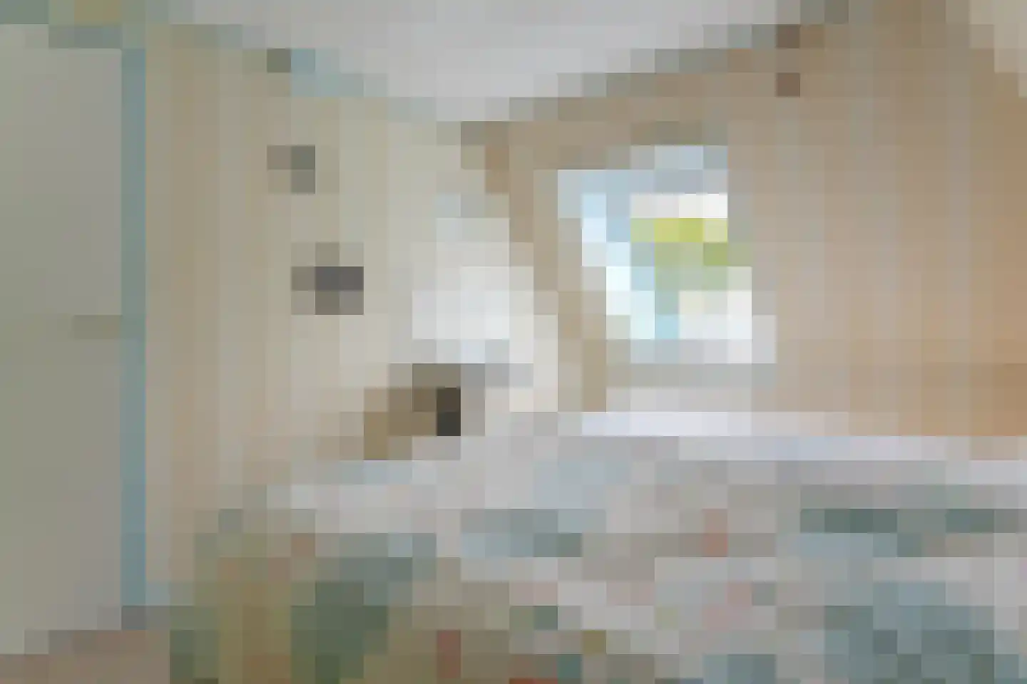 Dorpsstraat 176 Obdam thumbnail 37