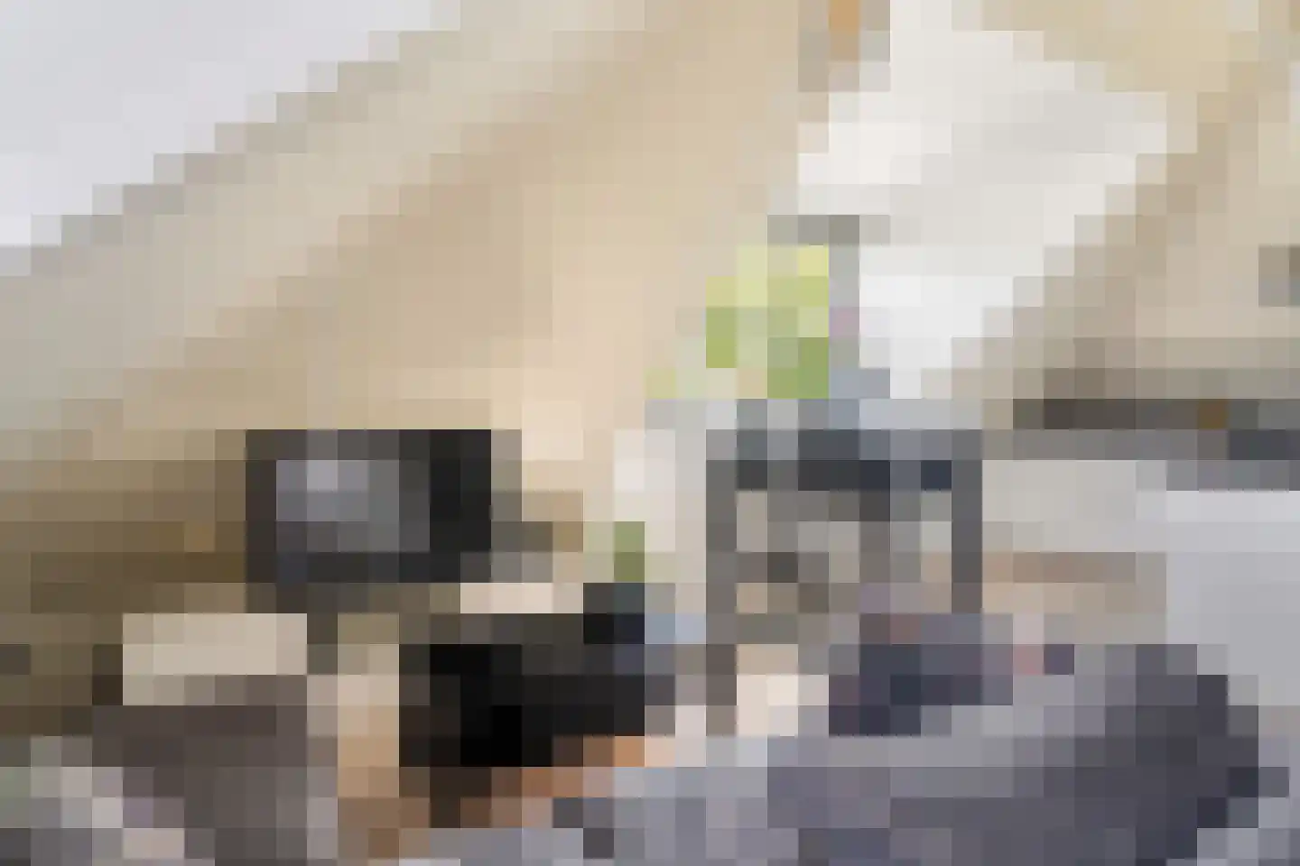 Dorpsstraat 177 C Harmelen thumbnail 9