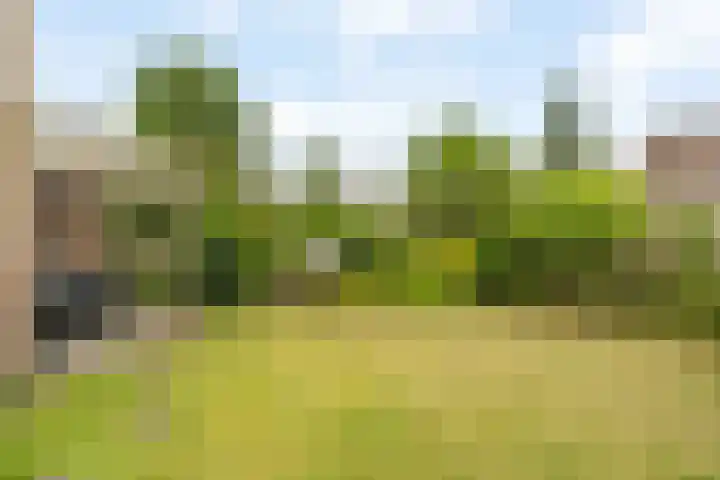 Dorpsstraat 177 Capelle aan den IJssel thumbnail 36