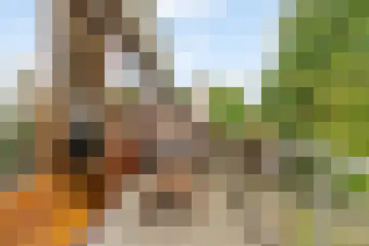 Dorpsstraat 177 Capelle aan den IJssel thumbnail 39