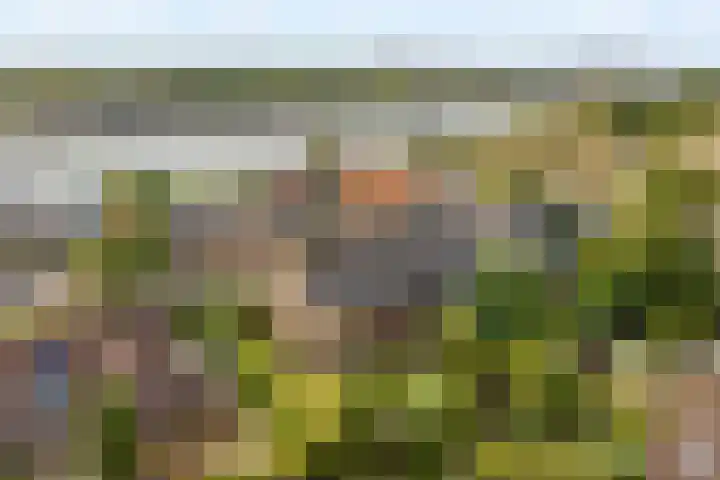 Dorpsstraat 177 Capelle aan den IJssel thumbnail 4