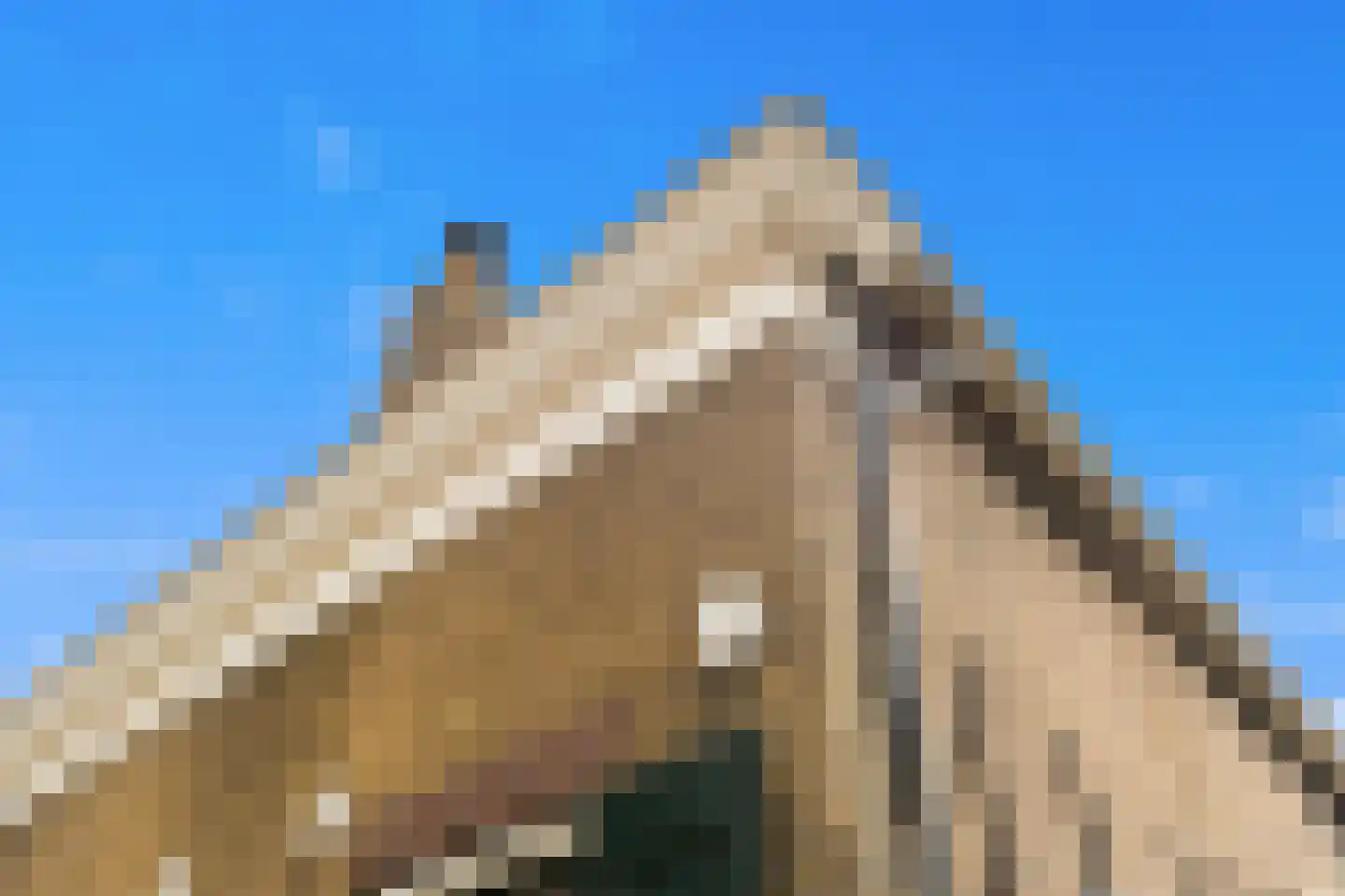 Dorpsstraat 178 Capelle aan den IJssel thumbnail 24