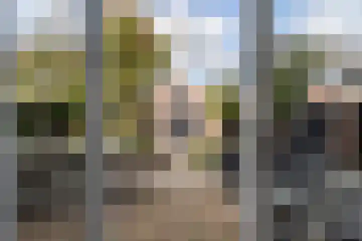 Dorpsstraat 18 Bunschoten-Spakenburg thumbnail 30