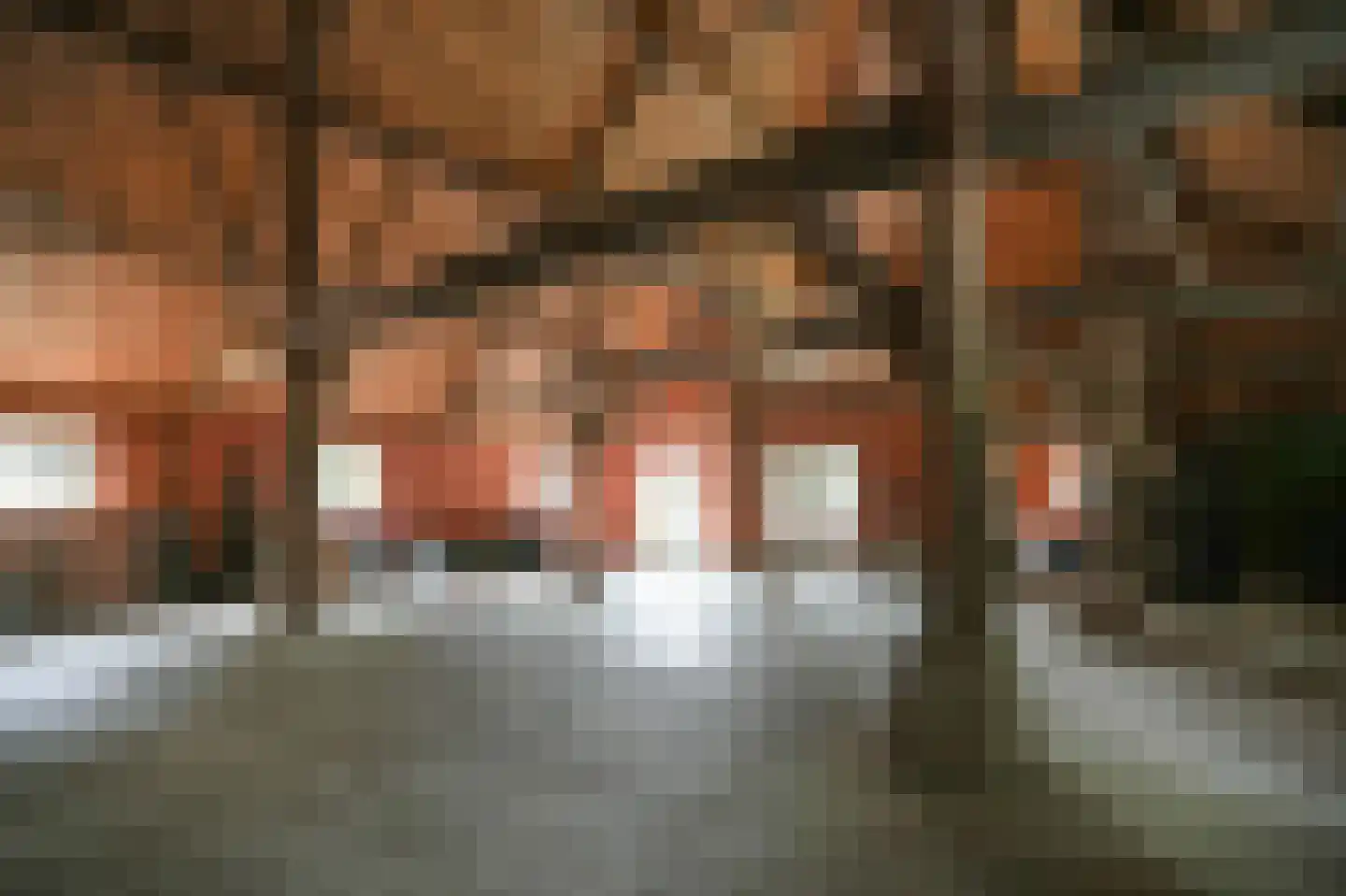 Dorpsstraat 18 Hurwenen thumbnail 50