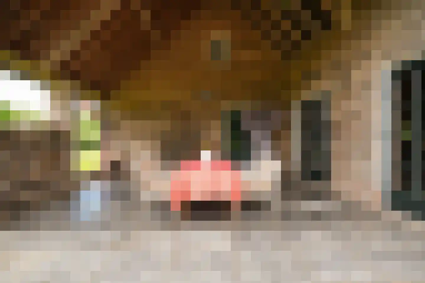 Dorpsstraat 18 Hurwenen thumbnail 55