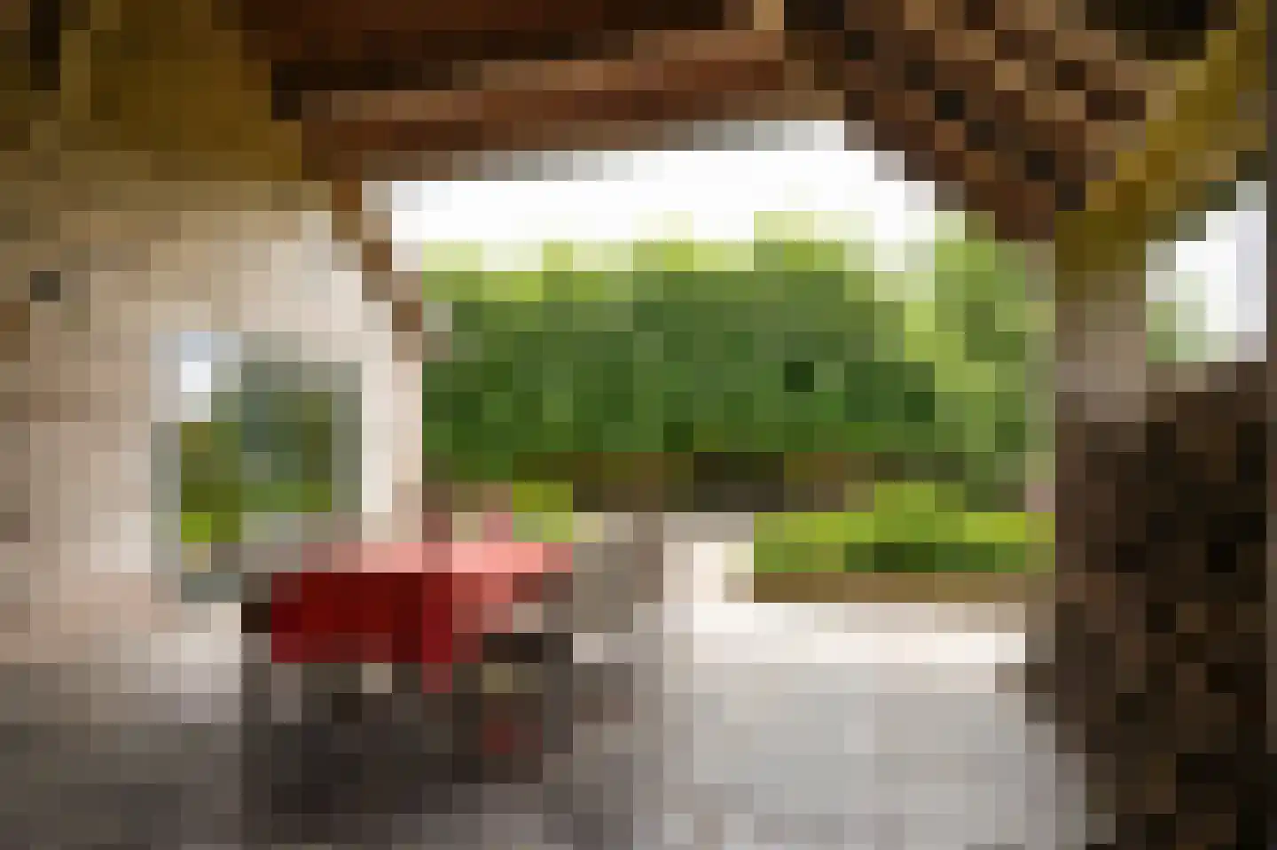 Dorpsstraat 18 Hurwenen thumbnail 56