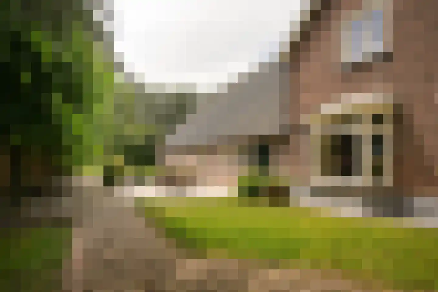 Dorpsstraat 18 Hurwenen thumbnail 58