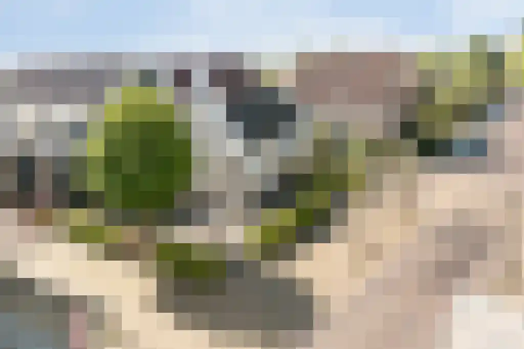 Dorpsstraat 18 Nieuwerkerk aan den IJssel thumbnail 34