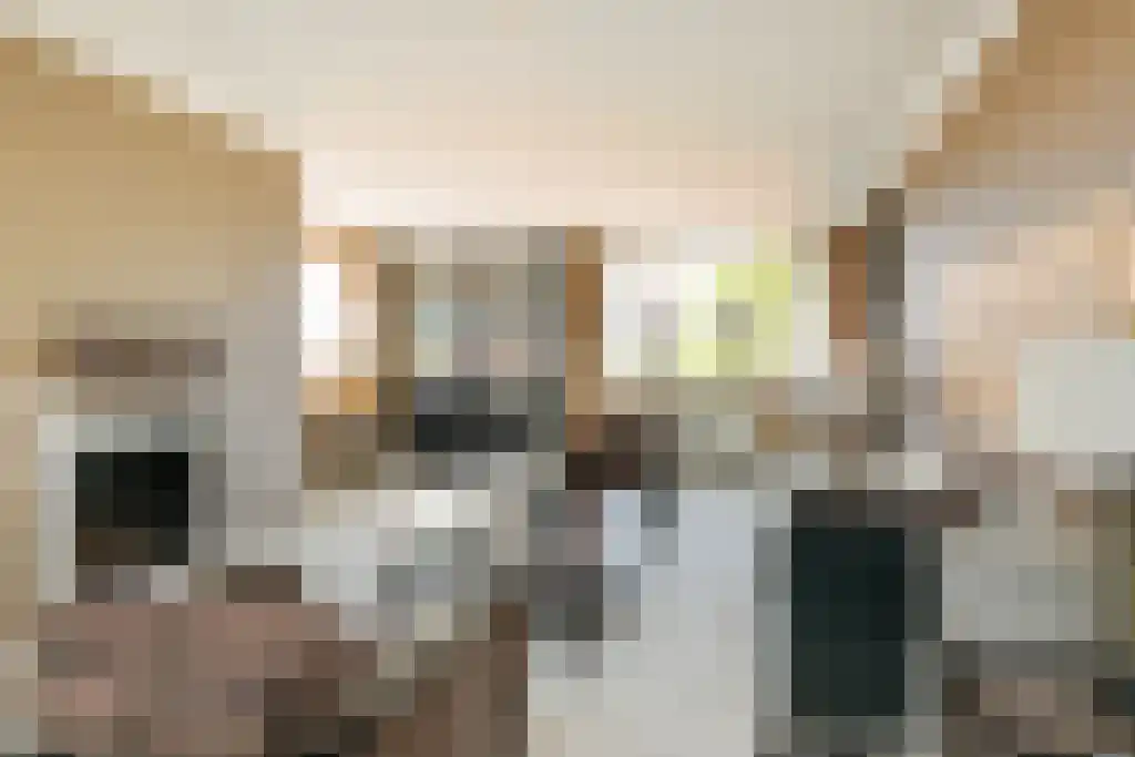 Dorpsstraat 18 Nieuwerkerk aan den IJssel thumbnail 4