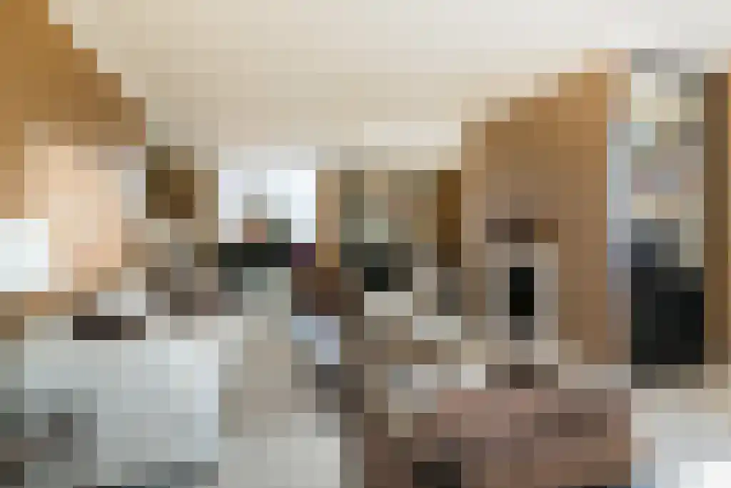 Dorpsstraat 18 Nieuwerkerk aan den IJssel thumbnail 6