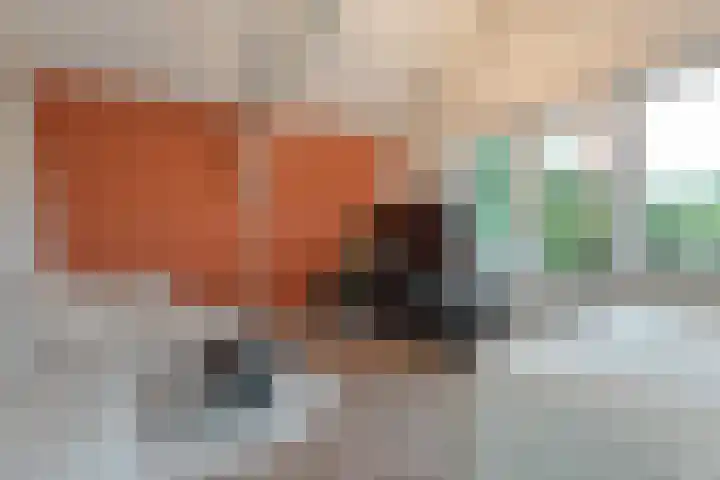 Dorpsstraat 18 Nijeveen thumbnail 20
