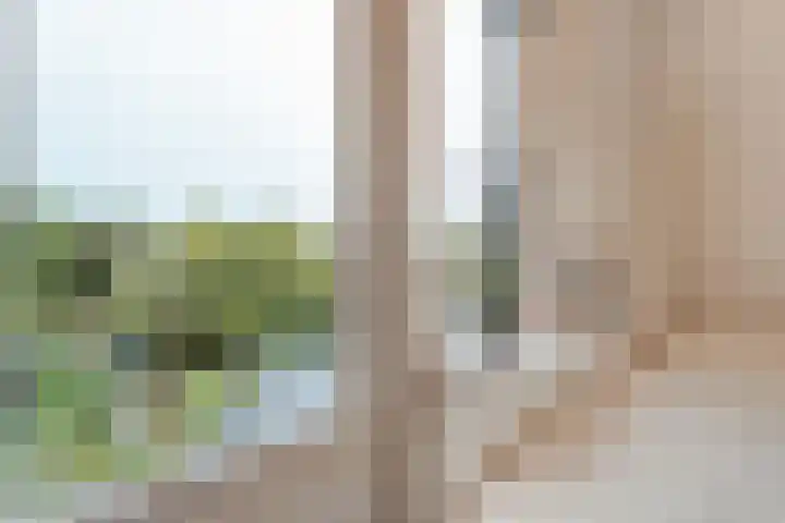 Dorpsstraat 18 Nijeveen thumbnail 22