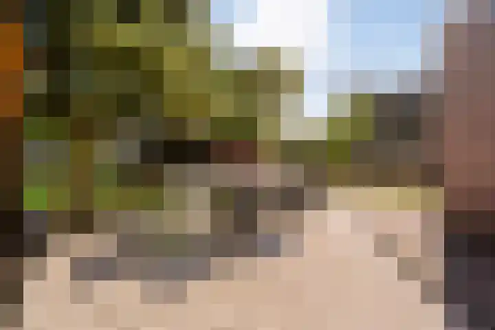 Dorpsstraat 18 Nijeveen thumbnail 31