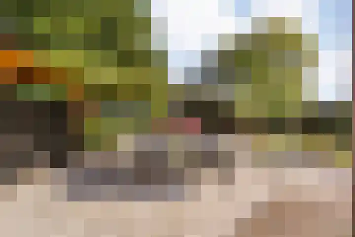 Dorpsstraat 18 Nijeveen thumbnail 32
