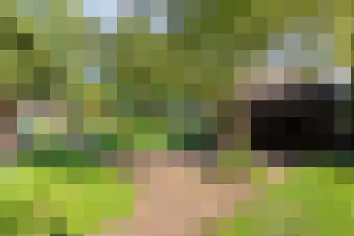 Dorpsstraat 18 Nijeveen thumbnail 33