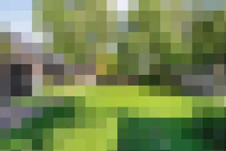 Dorpsstraat 18 Nijeveen thumbnail 34