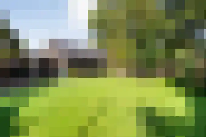 Dorpsstraat 18 Nijeveen thumbnail 36