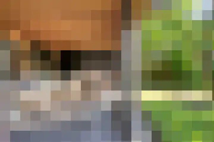 Dorpsstraat 18 Nijeveen thumbnail 37