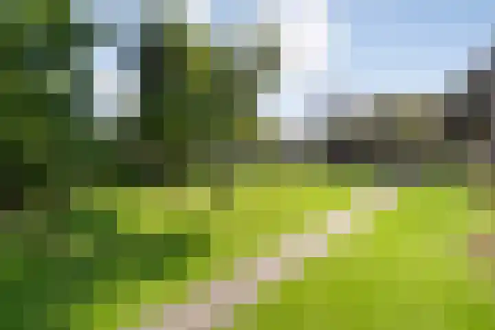 Dorpsstraat 18 Nijeveen thumbnail 4
