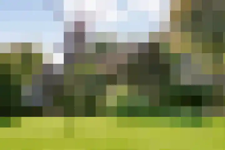 Dorpsstraat 18 Nijeveen thumbnail 42