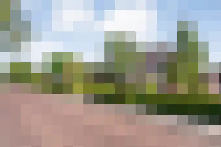 Dorpsstraat 18 Nijeveen thumbnail 48