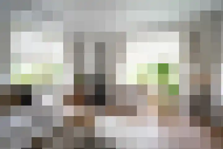 Dorpsstraat 18 Nijeveen thumbnail 5