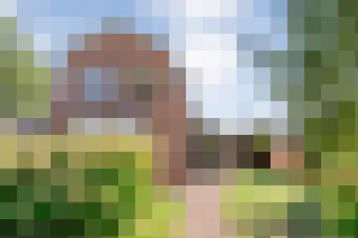 Dorpsstraat 18 Nijeveen thumbnail 51