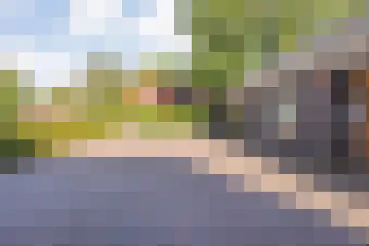 Dorpsstraat 18 Nijeveen thumbnail 55