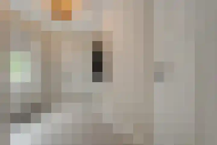 Dorpsstraat 18 Nijeveen thumbnail 9