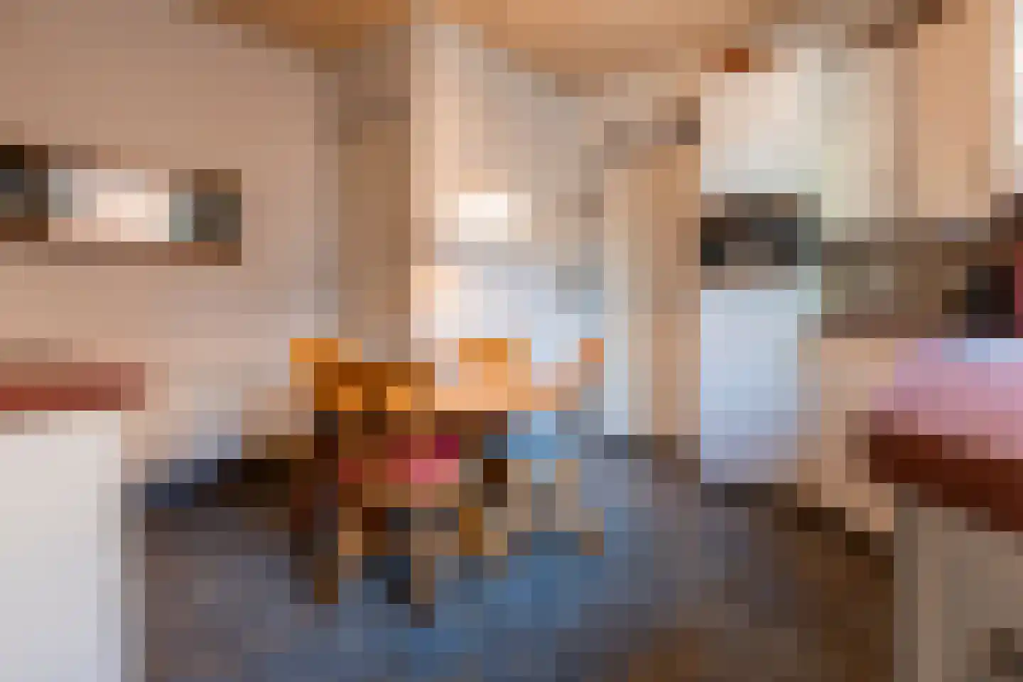 Dorpsstraat 18 Ossendrecht thumbnail 22