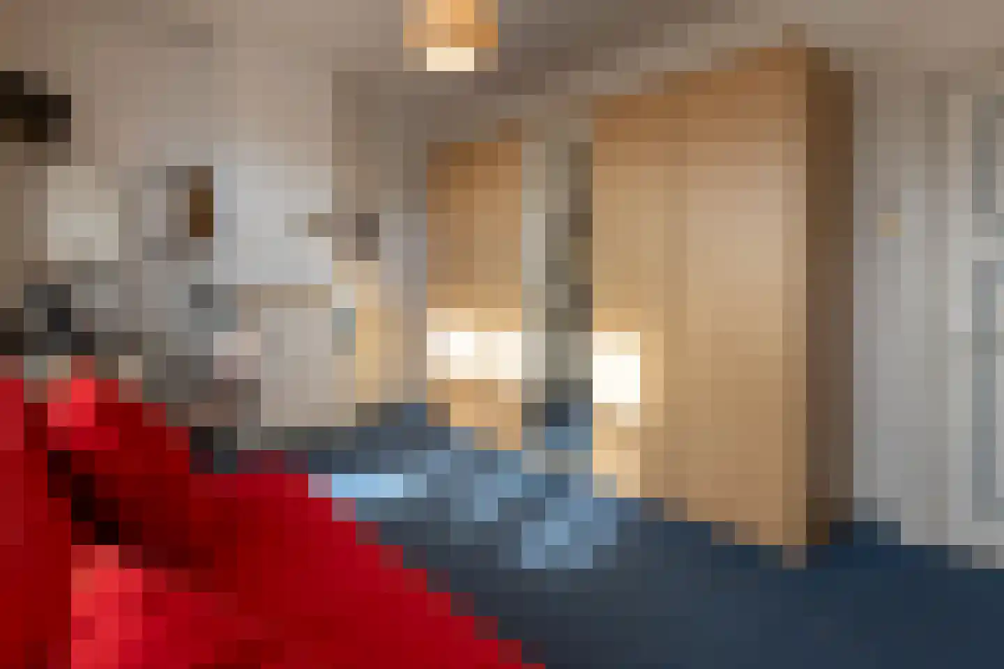 Dorpsstraat 18 Ossendrecht thumbnail 32