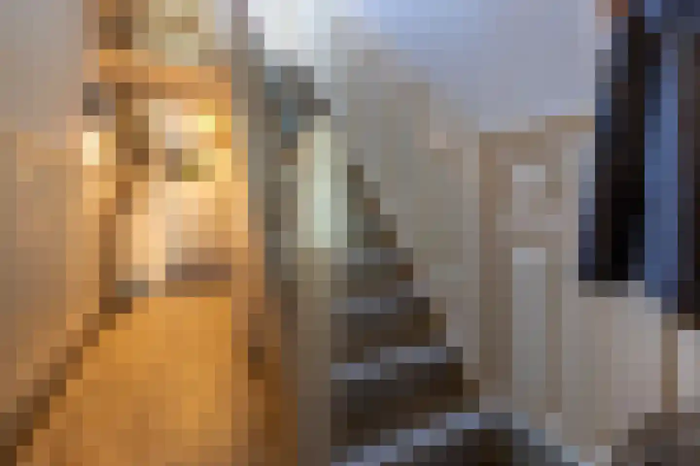 Dorpsstraat 18 Ossendrecht thumbnail 7