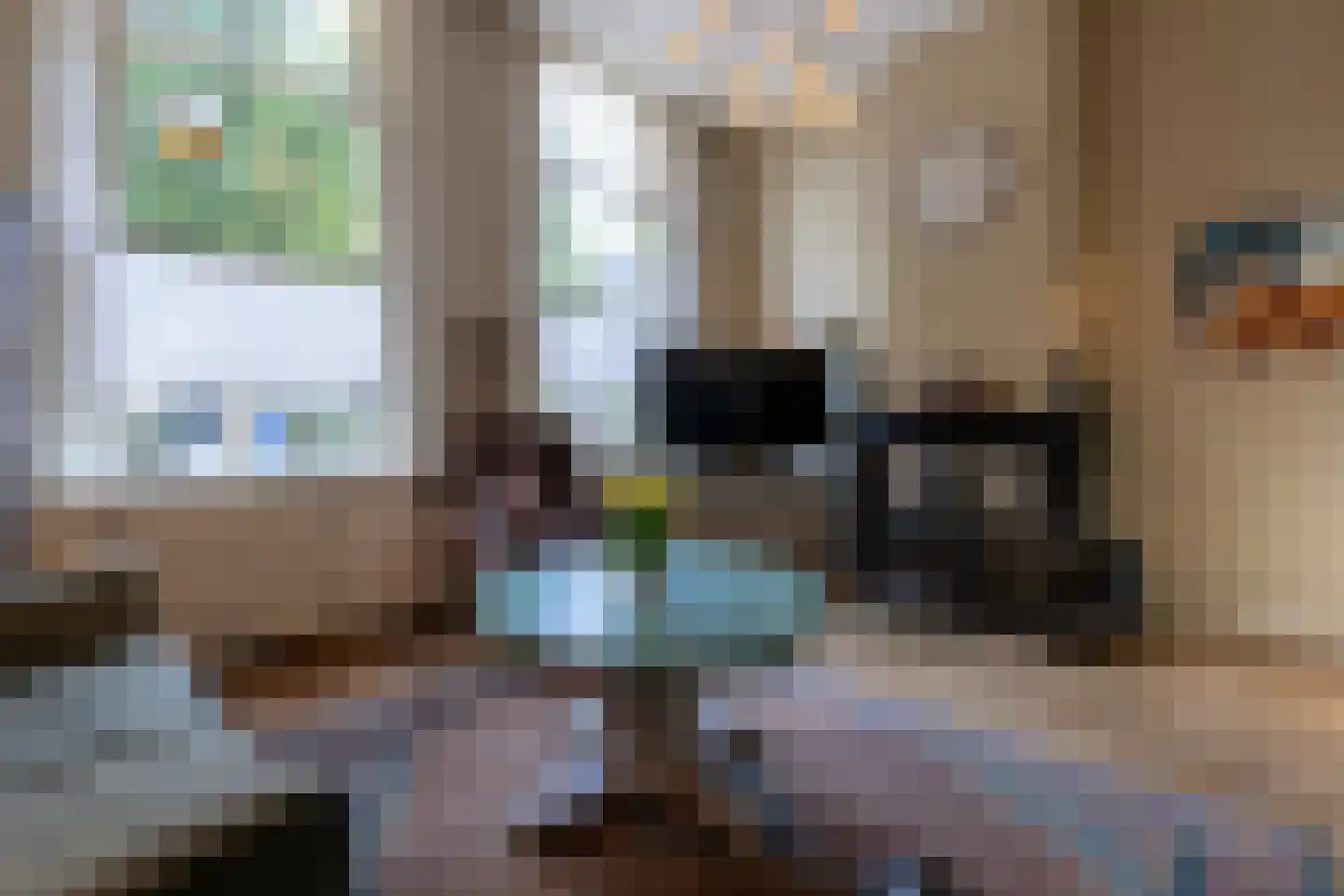 Dorpsstraat 18 Ossendrecht thumbnail 8