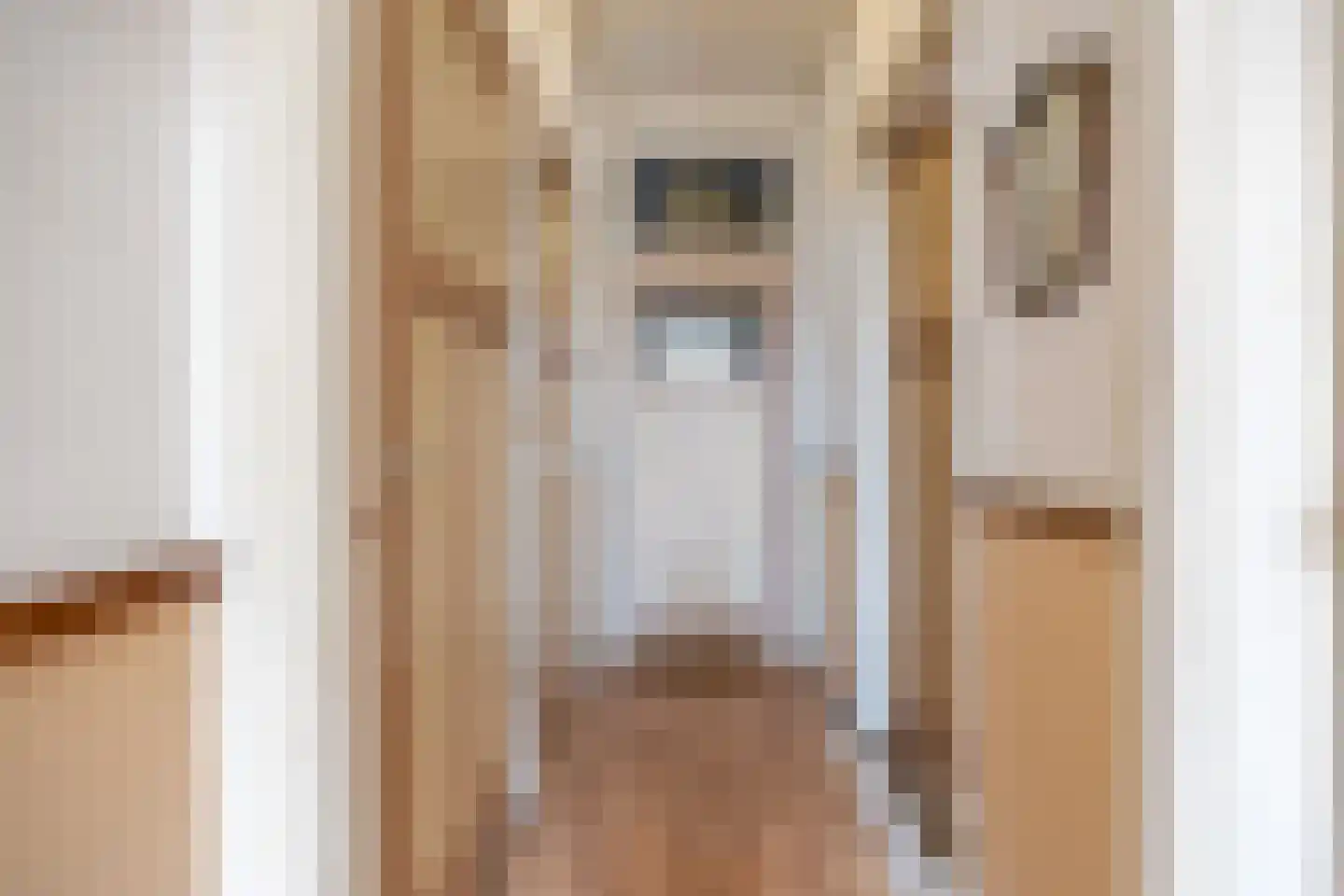 Dorpsstraat 18 Peins thumbnail 20