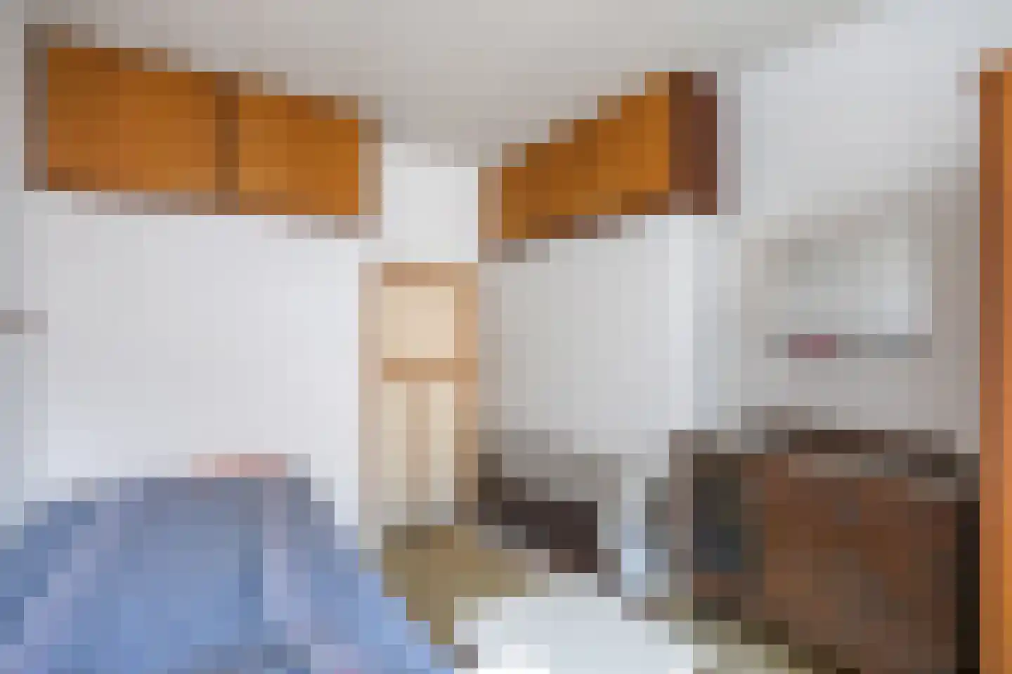 Dorpsstraat 18 Peins thumbnail 26