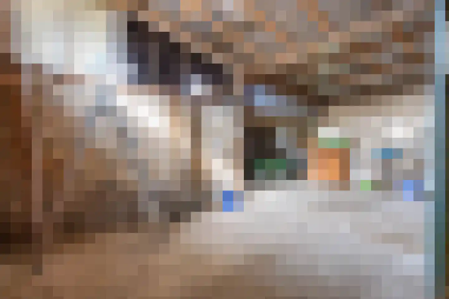 Dorpsstraat 18 Peins thumbnail 42