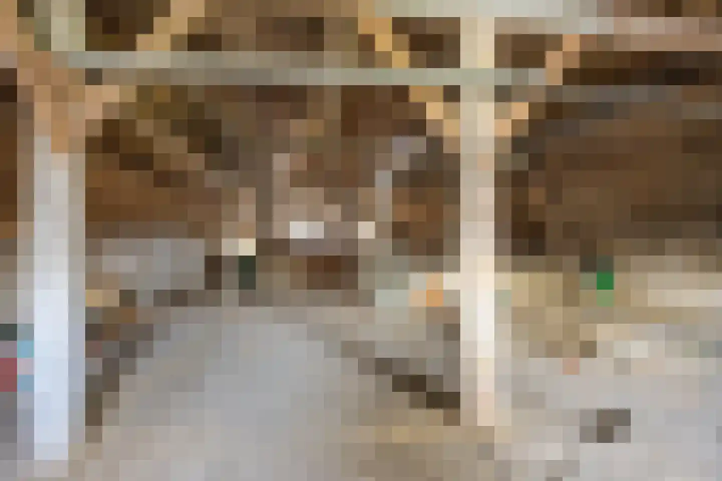 Dorpsstraat 18 Peins thumbnail 43