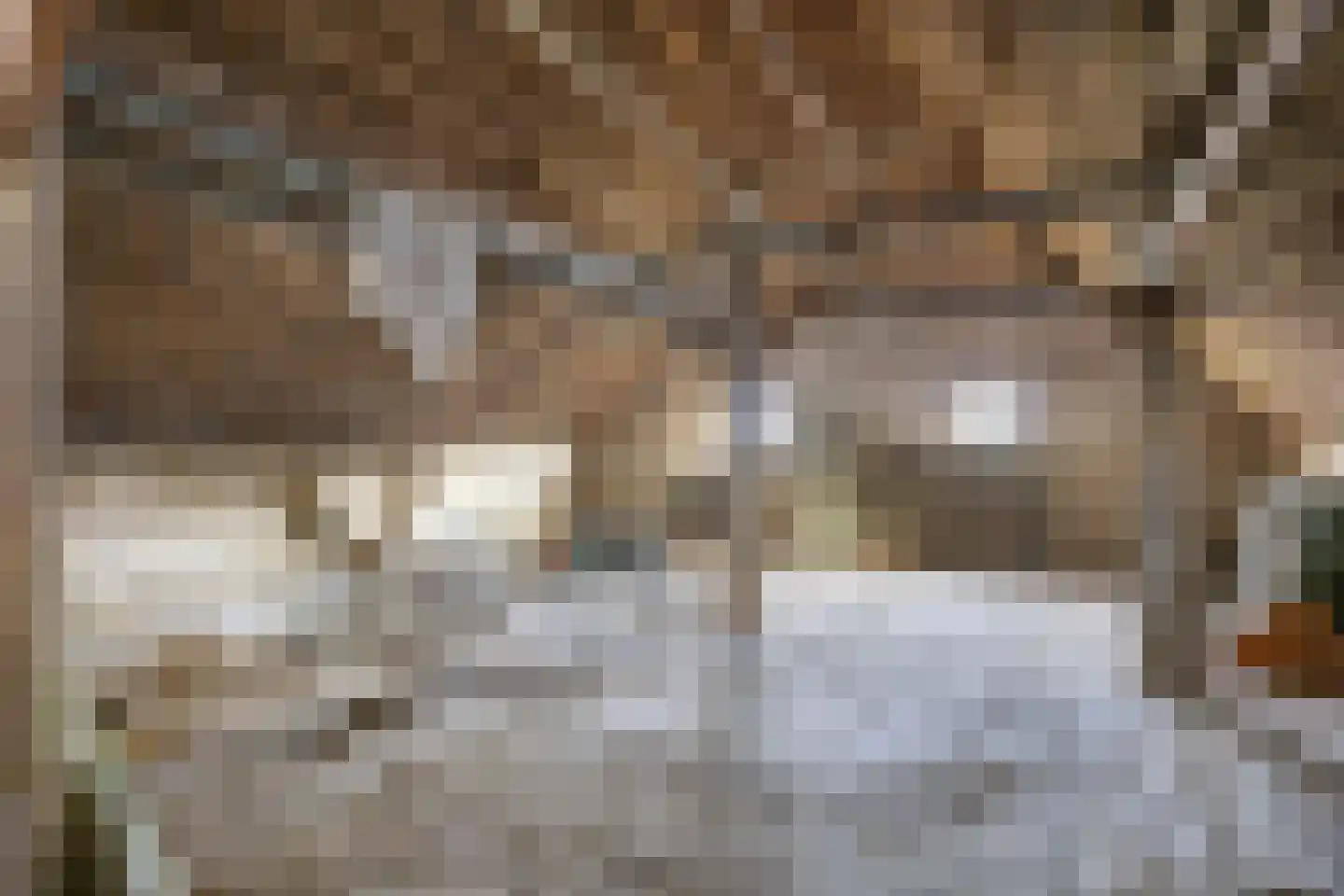 Dorpsstraat 18 Peins thumbnail 44