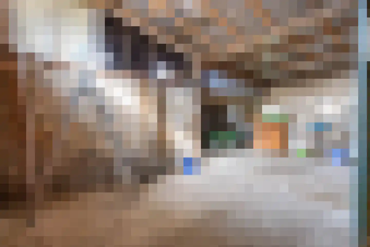Dorpsstraat 18 Peins thumbnail 7