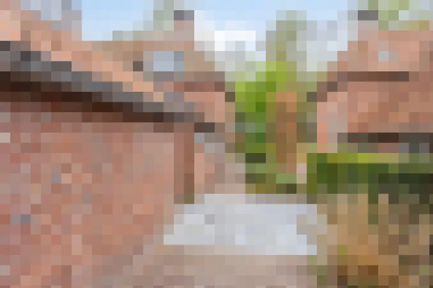 Dorpsstraat 18 Renswoude thumbnail 11