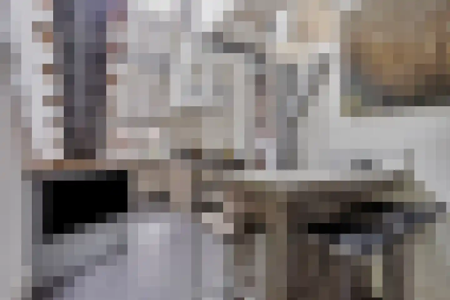 Dorpsstraat 18 Renswoude thumbnail 15