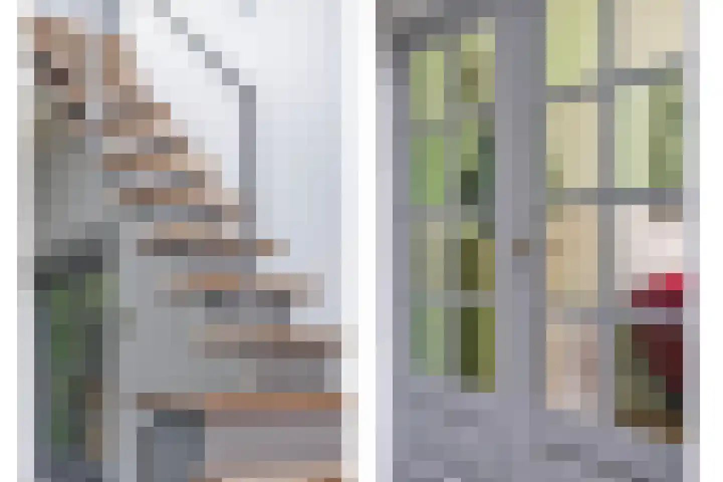 Dorpsstraat 18 Renswoude thumbnail 21